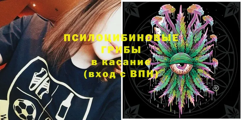 Псилоцибиновые грибы MAGIC MUSHROOMS  что такое наркотик  kraken   Бердск 